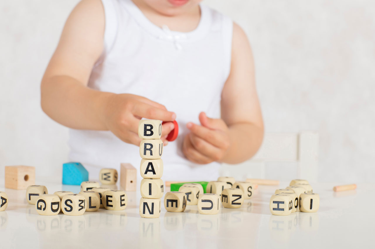 Brain development in 16 month old toddlers