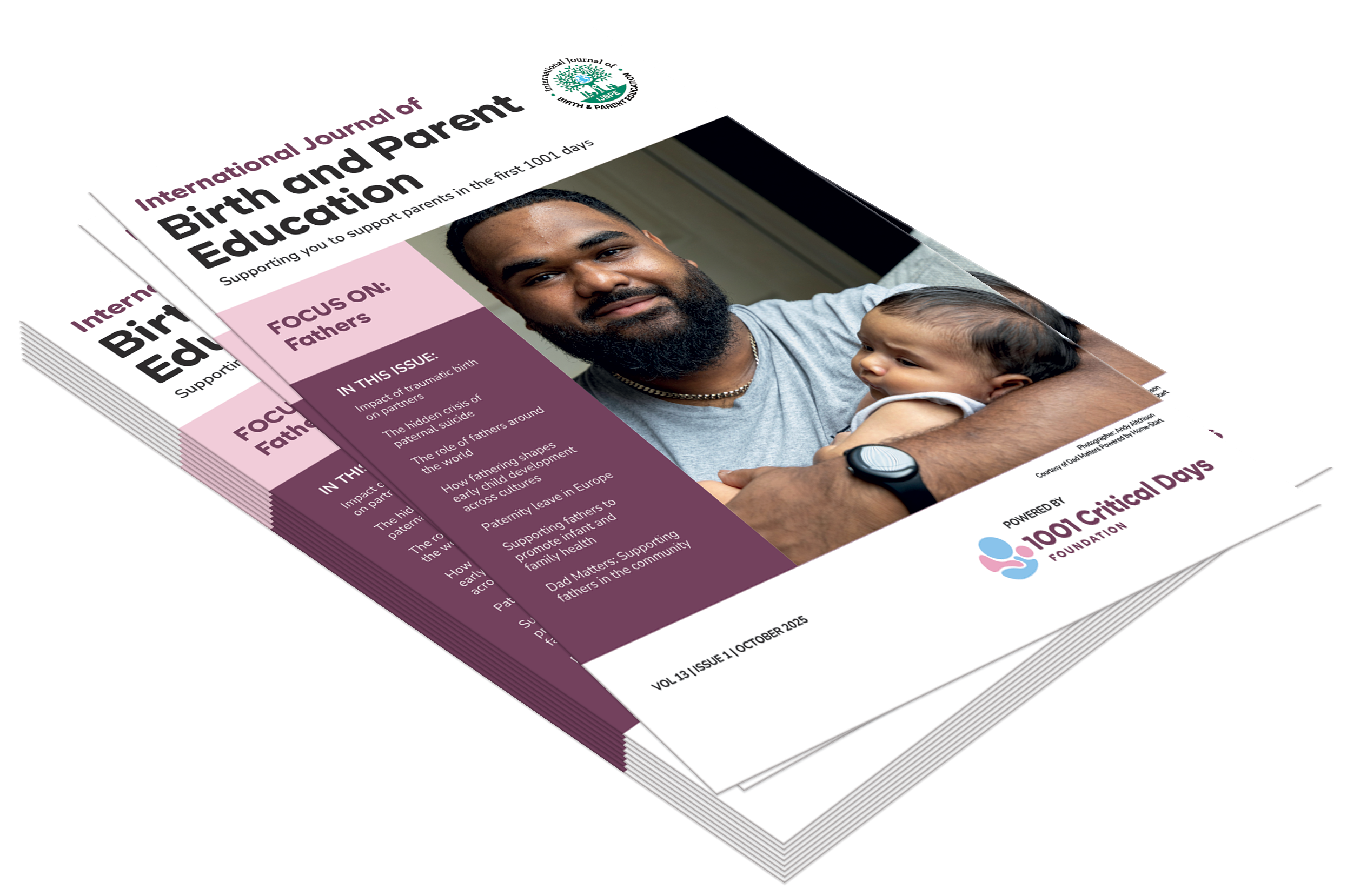 IJBPE Volume 12 Issue 3 - Out now